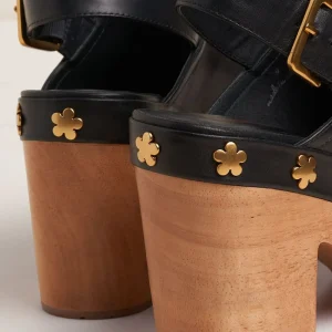 Women Charlotte Stone Hari In Black Flower